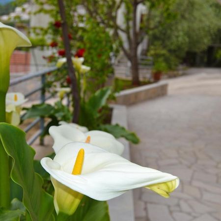 Tivat Apartments Kültér fotó