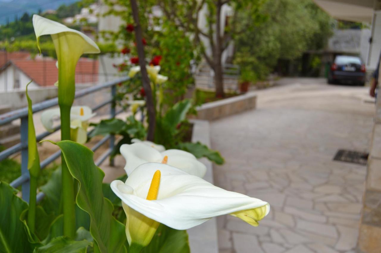 Tivat Apartments Kültér fotó